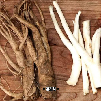 도라지배즙 효능