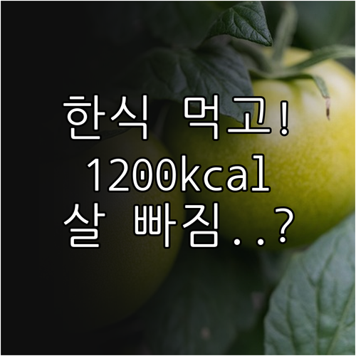 한식으로 시작하는 1200kcal 다..