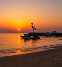 왜목마을 일출 사진