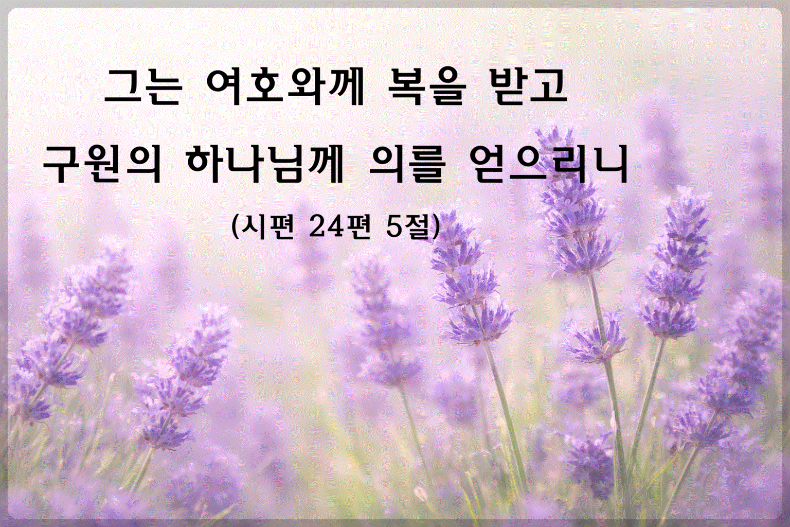 시편24편5절
