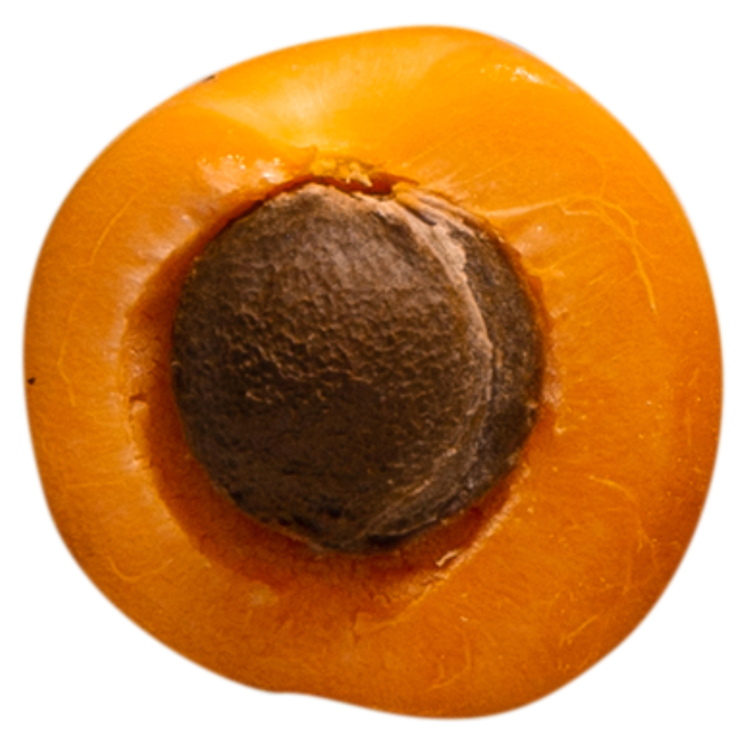 식물성 멜라토닌과 관련된 사진입니다.