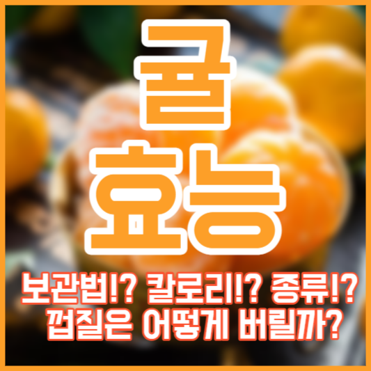 보관법!? 칼로리!? 종류!? 껍질은 어떻게 버릴까?