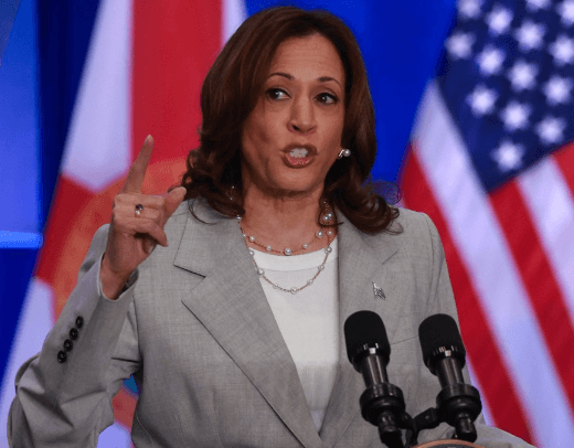 해리스 부통령 관련주