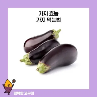 가지 효능 혈압 당뇨 관리 도움 정보_2