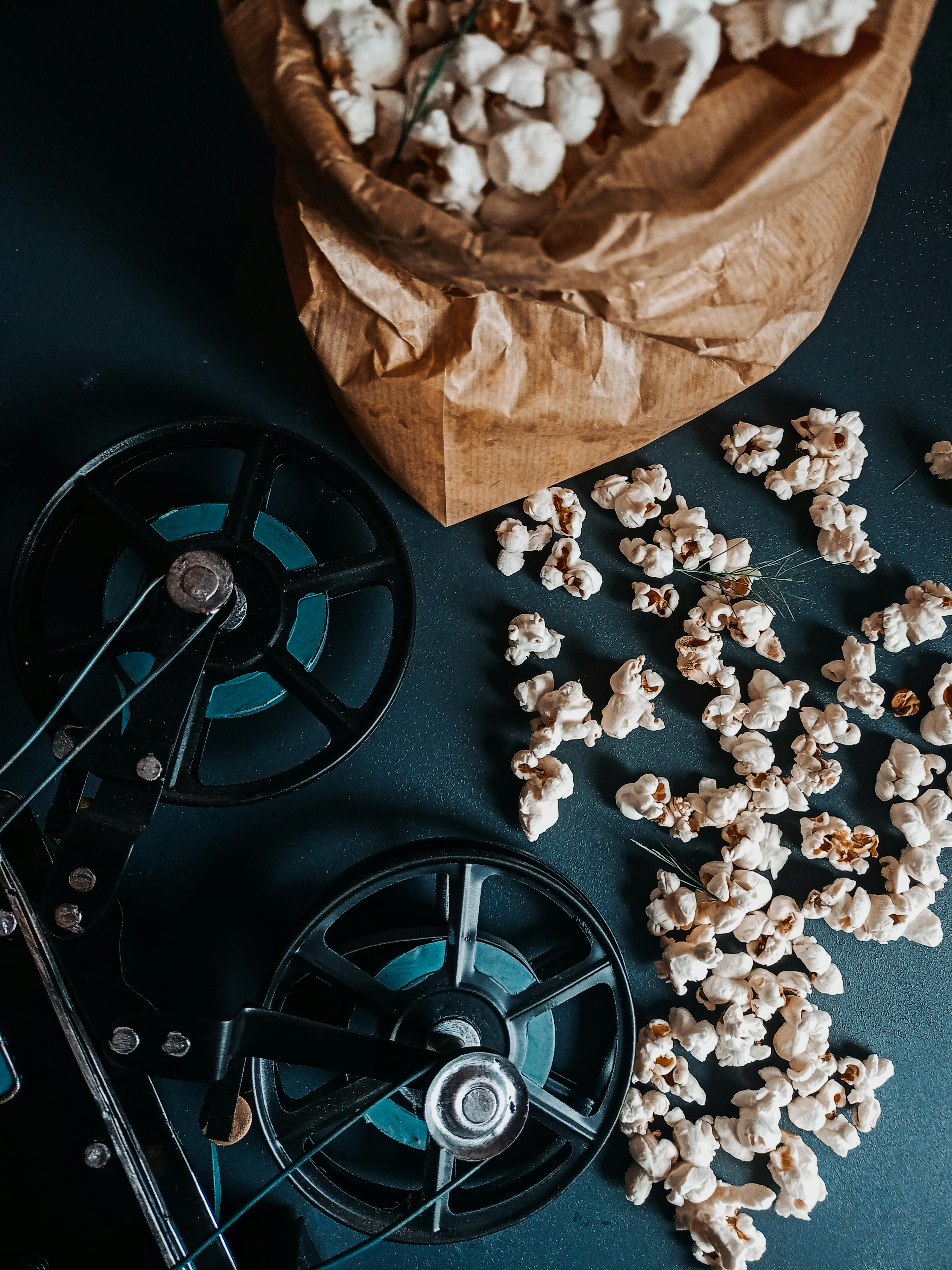 영화 전공자를 위한 토론토 수상작 정리 관련 사진