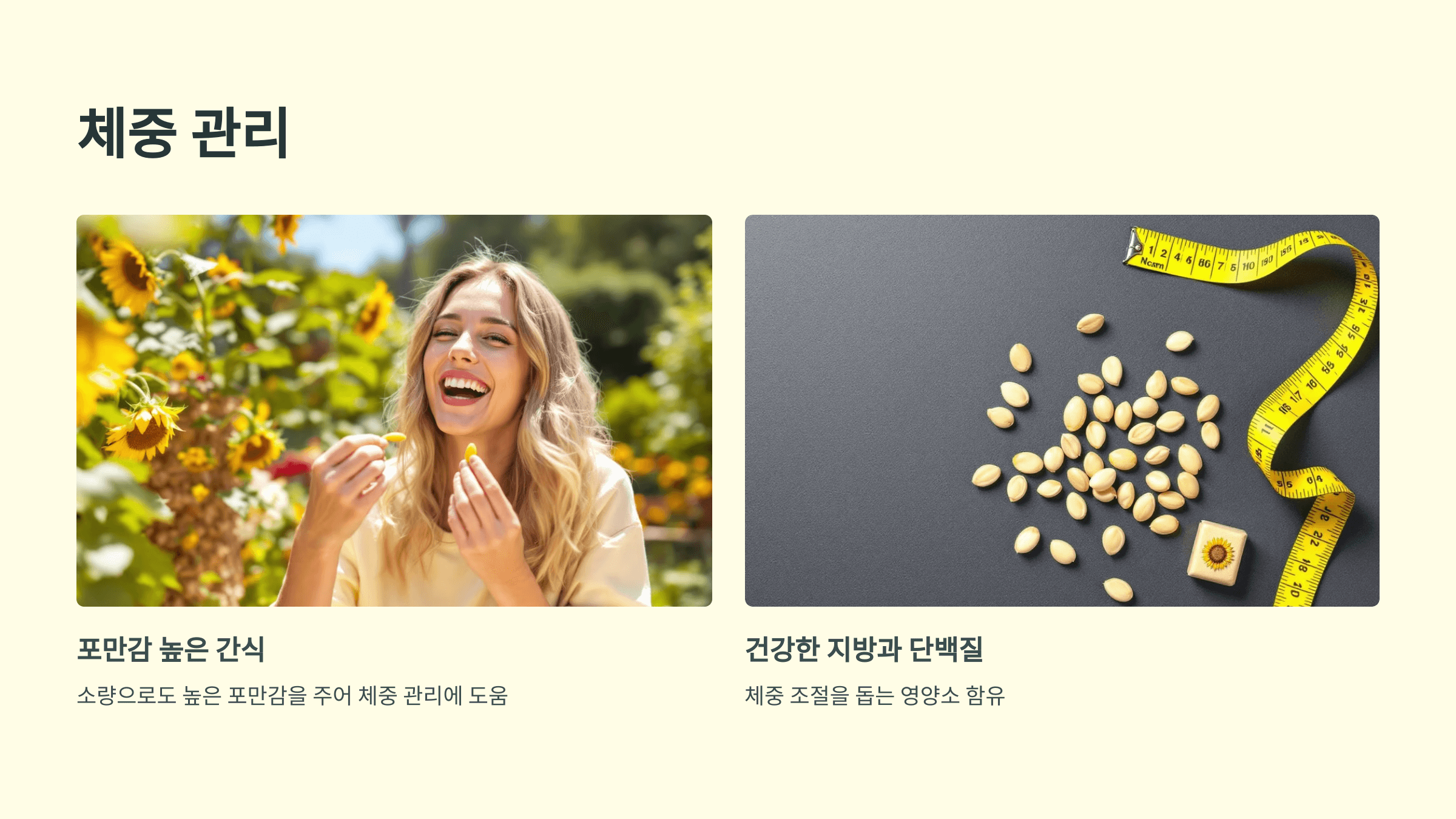 해바라기씨 사진입니다.