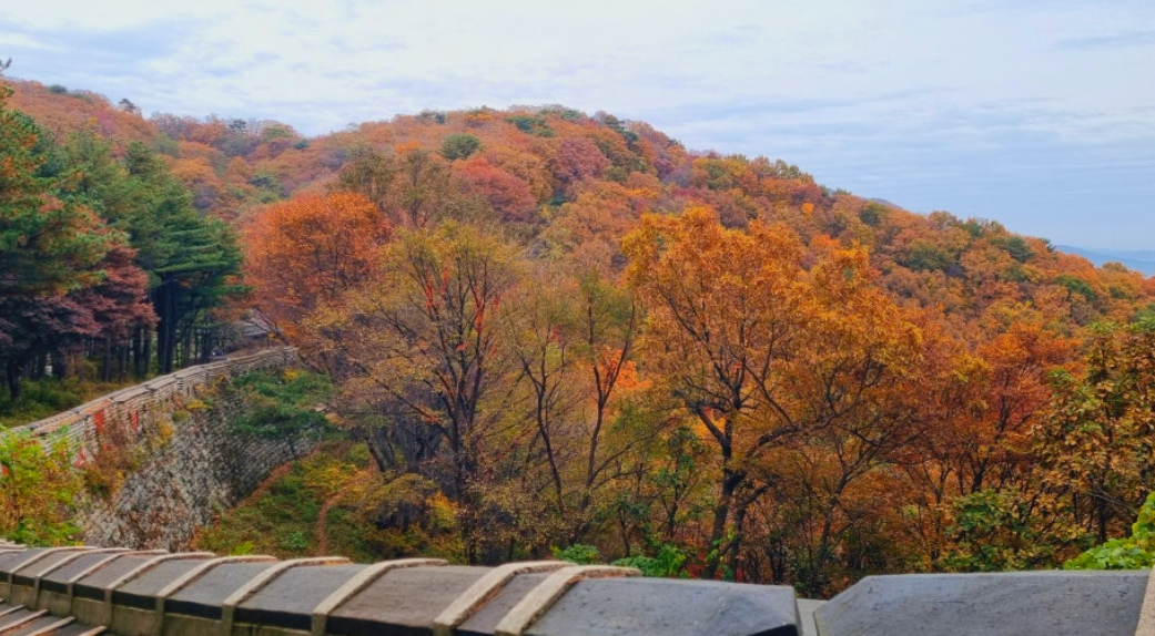 남한산성 단풍