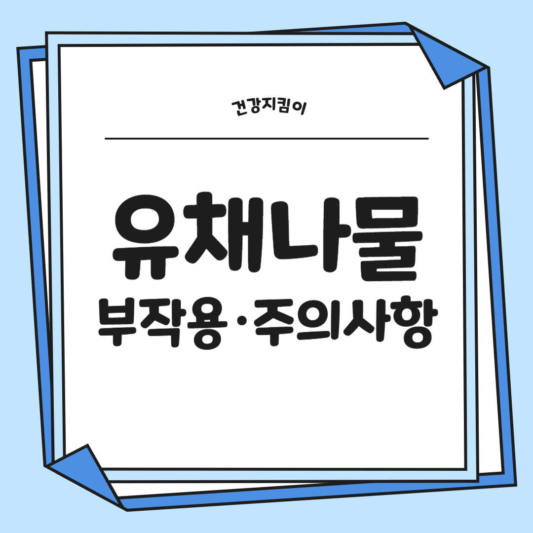 유채나물 효능 부작용 영양성분 고르는법 칼로리
