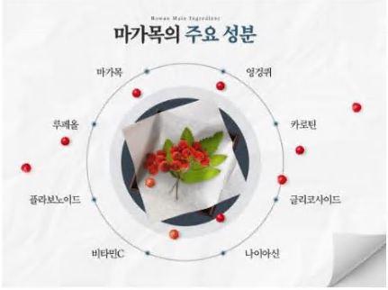 울릉도 마가보감 효능