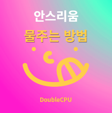 안스리움 물주기