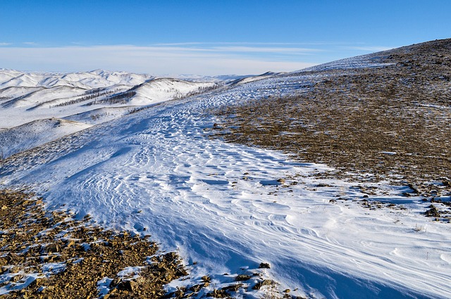 초원 위 여름을 걷다｜6월 몽골 울란바토르&middot;테를지 여행의 모든 것 
