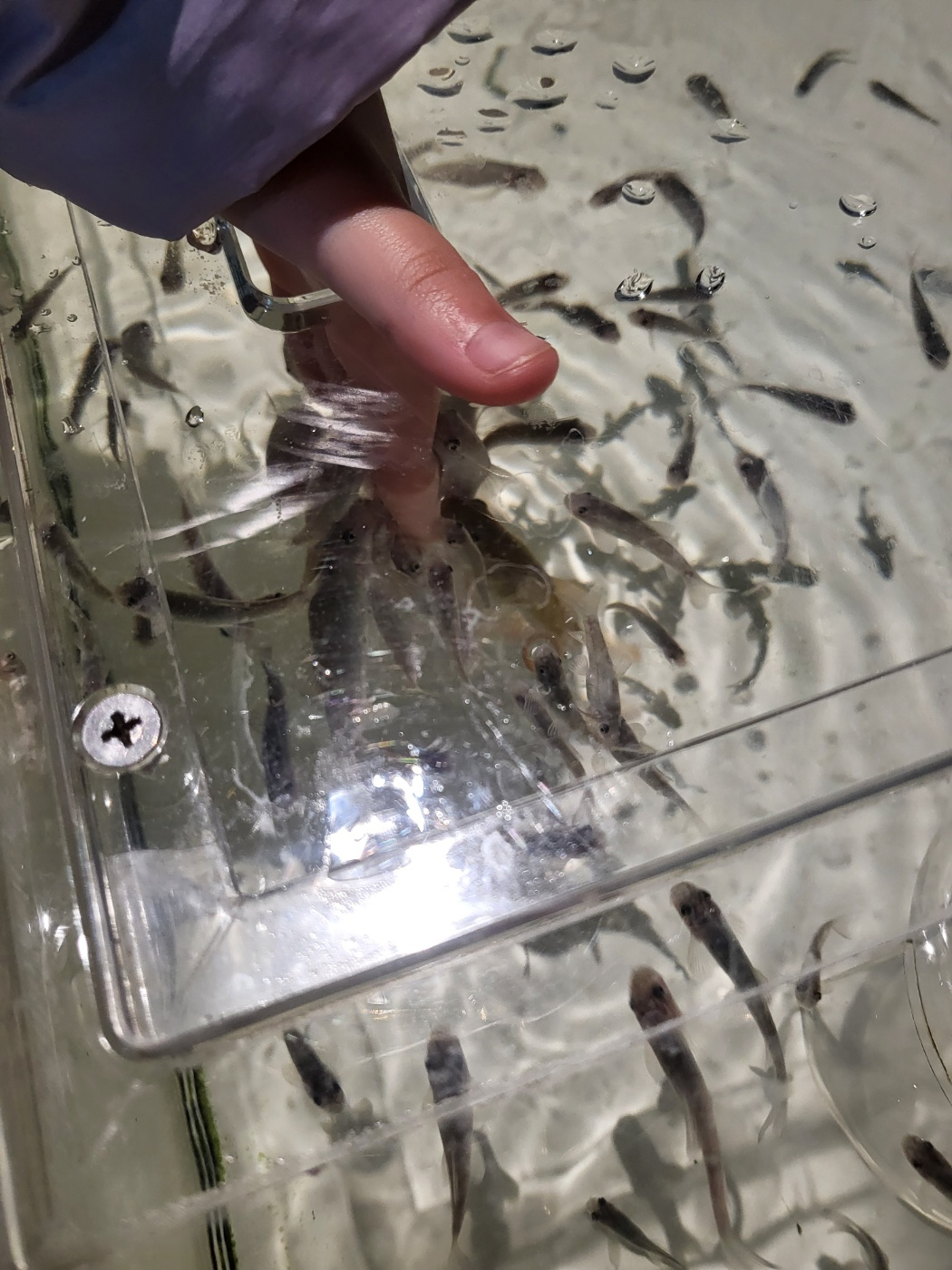 대전 아이와 가볼만한 곳&amp;#44; 신세계 아쿠아리움!(입장권/공연/체험)