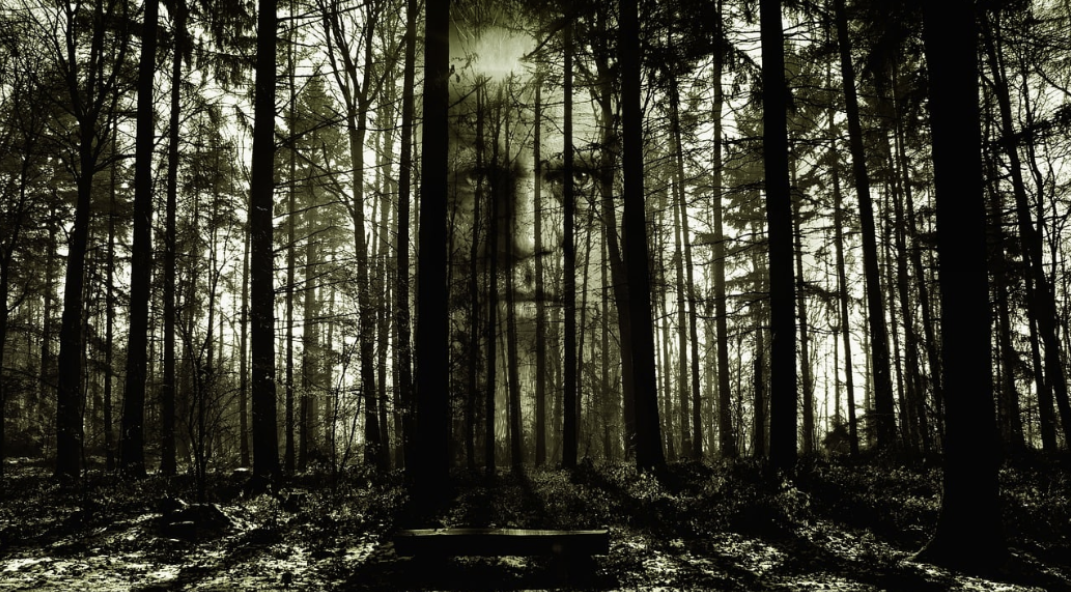 영화 곡성 대체 사진