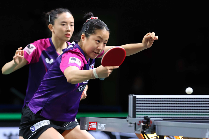 탁구 세계선수권 은메달