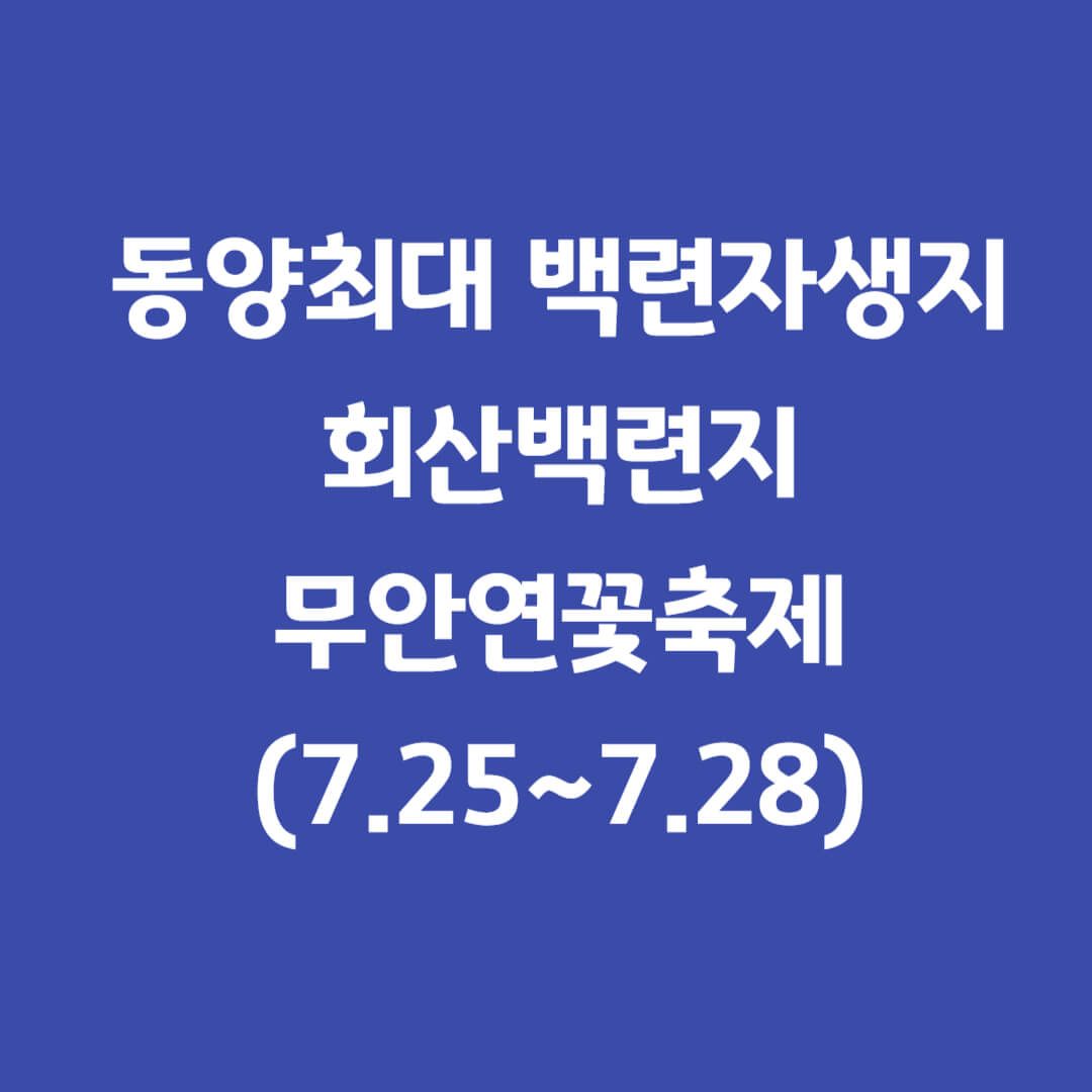 회산백련지-무안연꽃축제