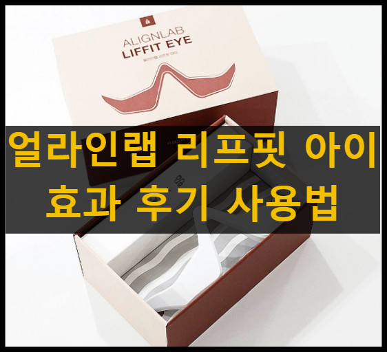 얼라인랩 리프핏 아이