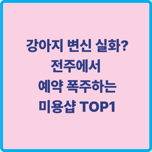 전주 애견미용샵 쁘띠멍 후기