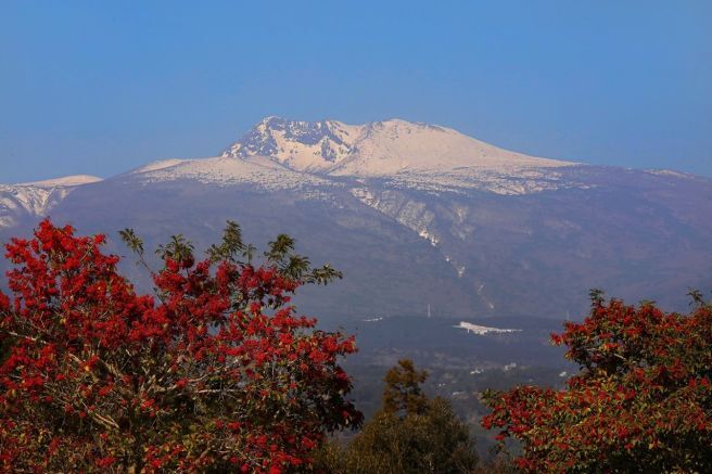 한라산 이미지