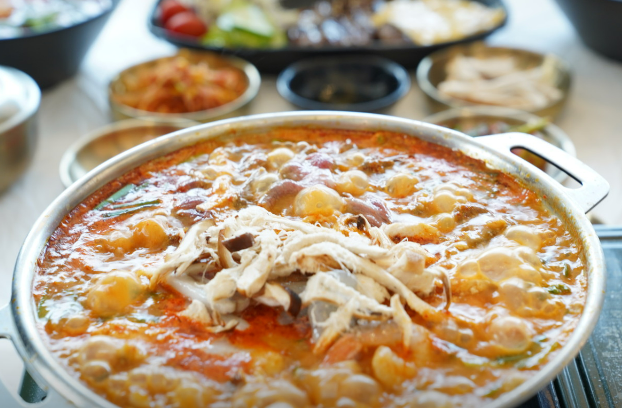 오늘엔 강릉초당순두부 맛집 뉴솔향초당순두부 안내 