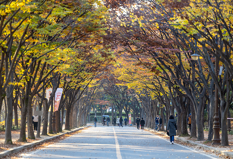 인천대공원