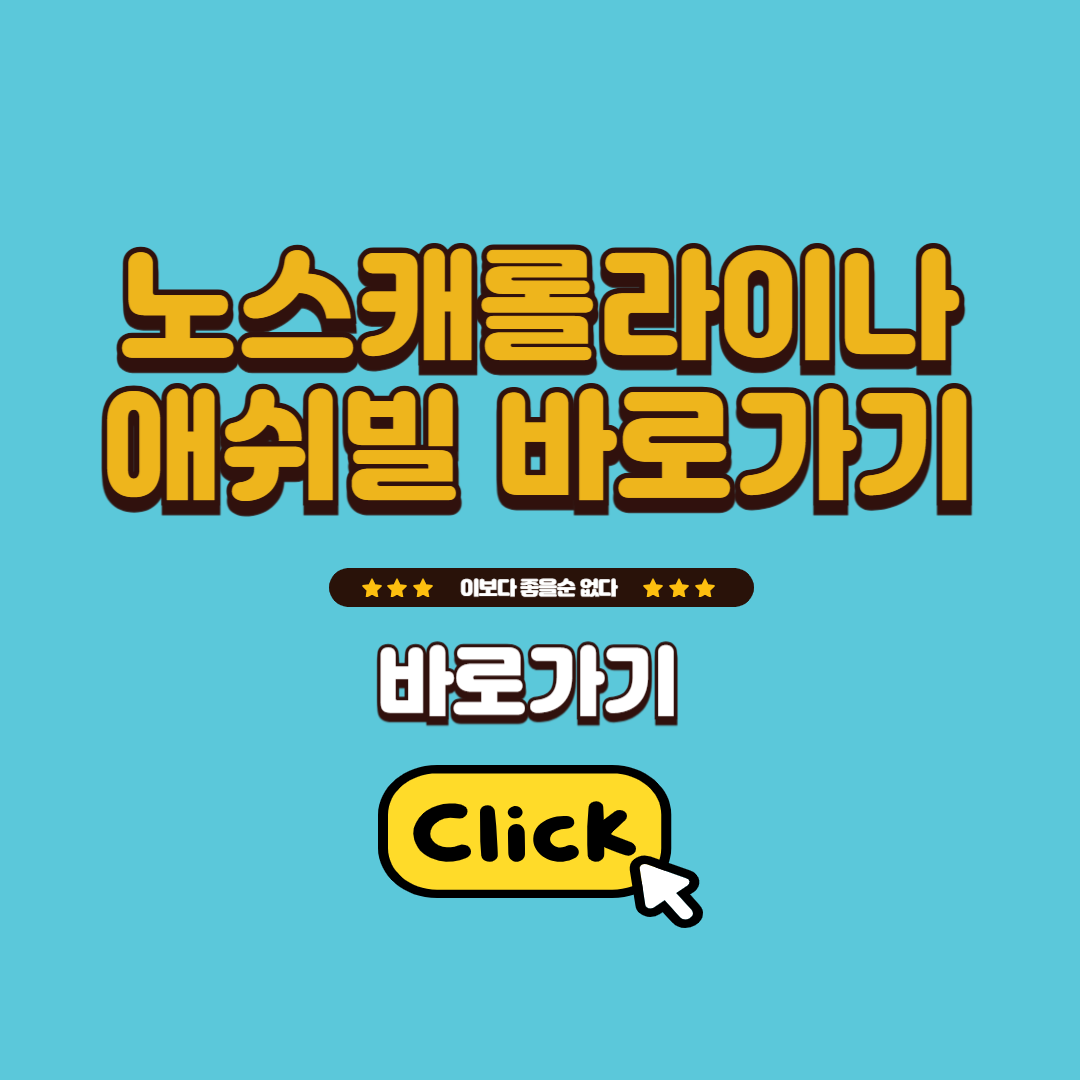 노스캐롤라이나 애쉬빌 바로가기