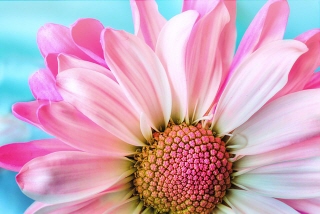 연말정산 미리보기 11