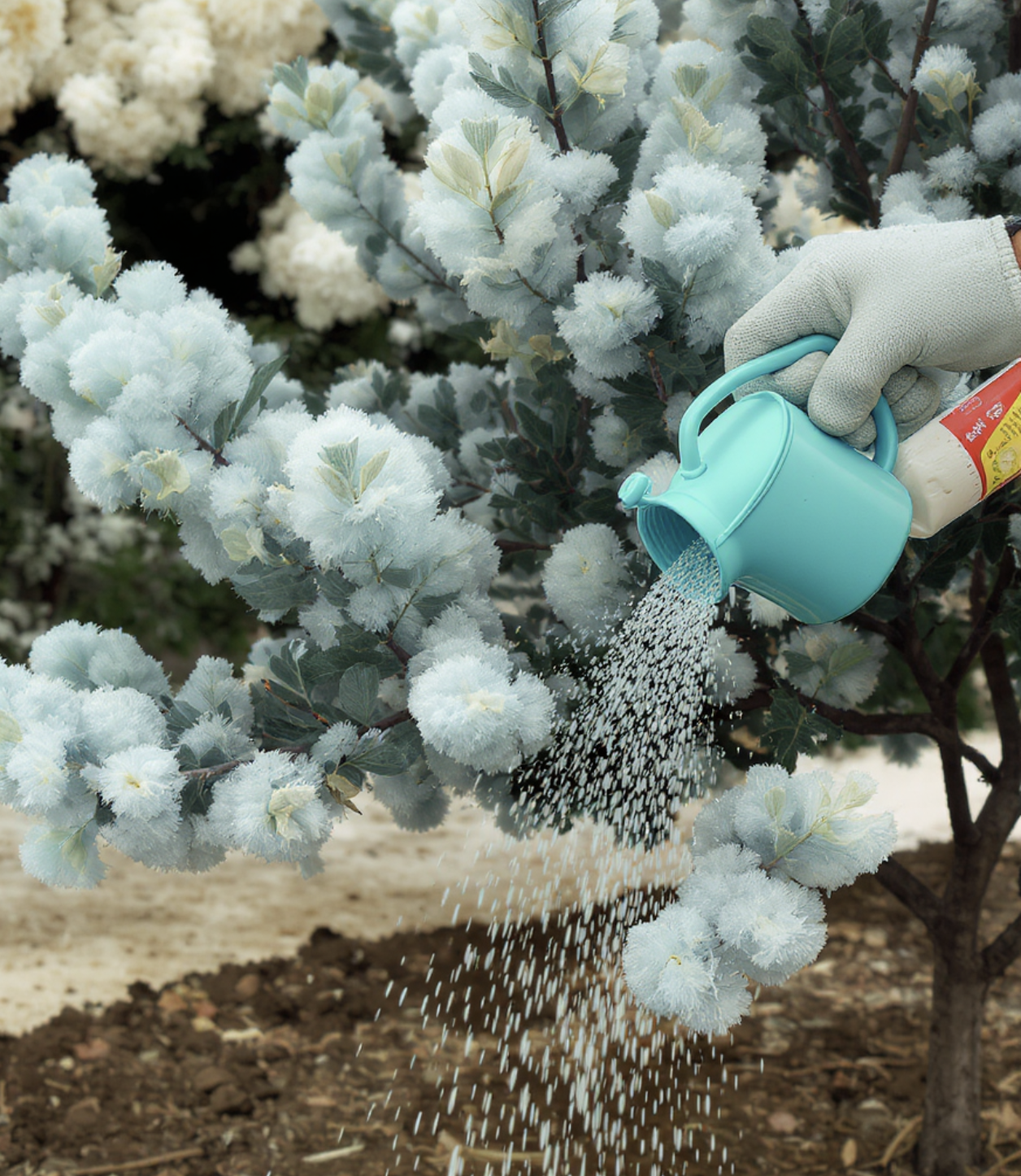 과습은 금물&amp;#44; 현명한 물 주기