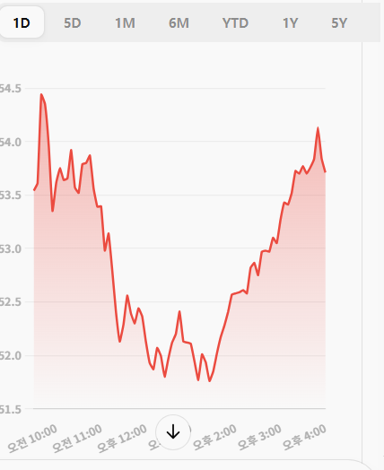 TQQQ 최근변동성그래프
