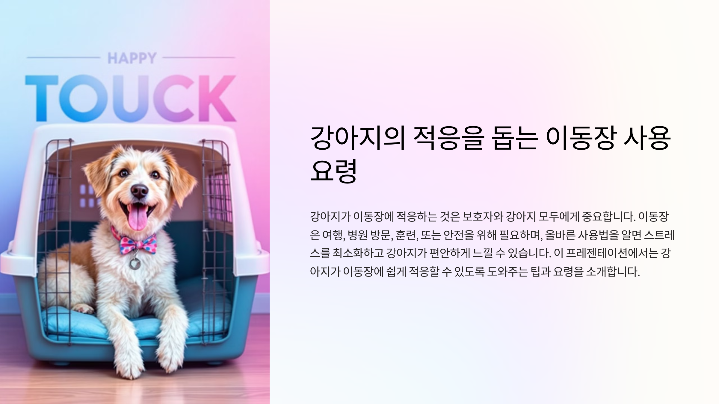강아지의 적응을 돕는 이동장 사용 요령