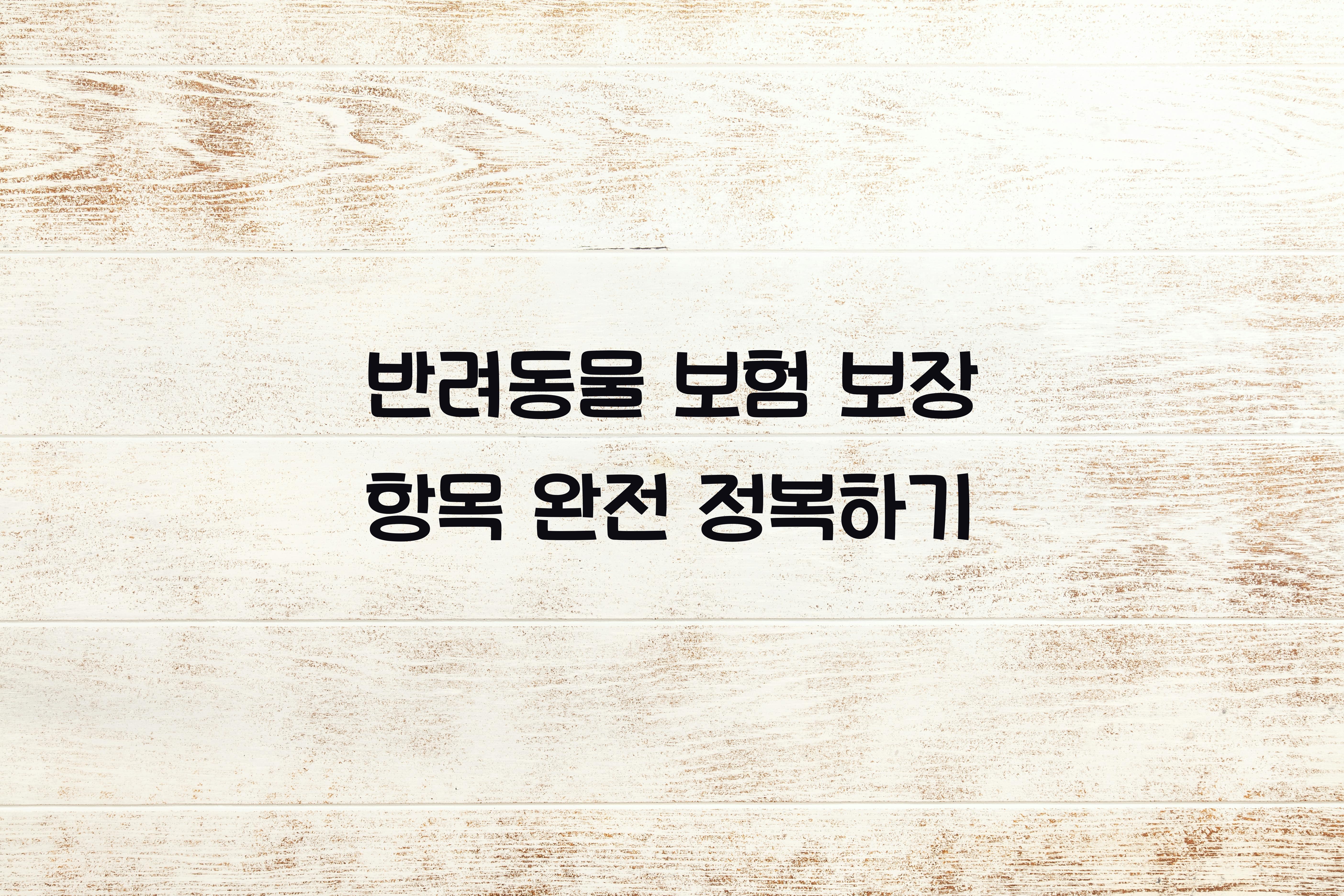 반려동물 보험 보장 항목
