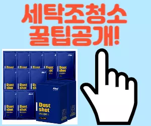 세탁조청소