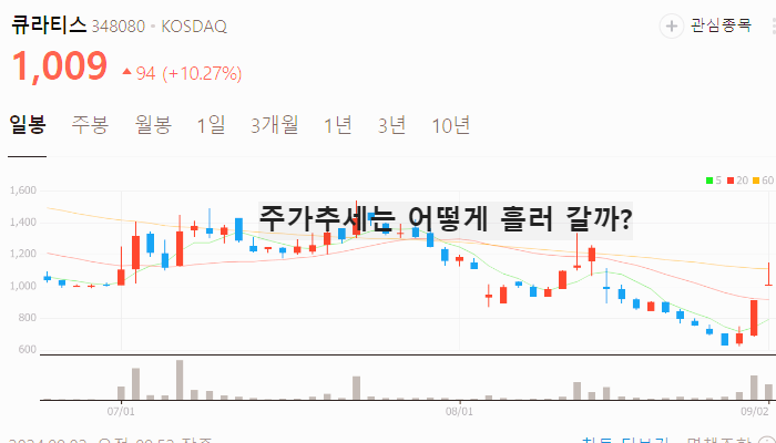 위고비 관련주 대장주 TOP10