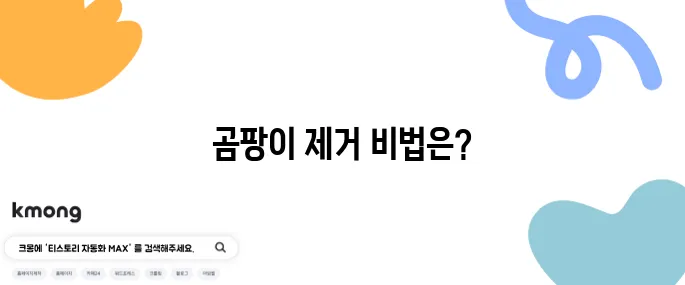 찬장에 곰팡이 생겼을 때 없애는 방법