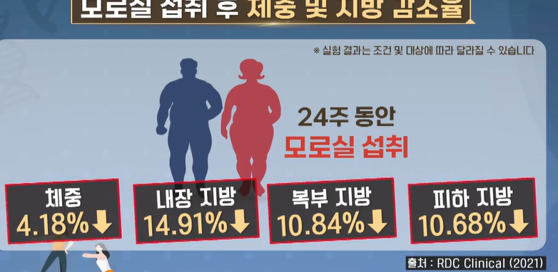 모로실 효능