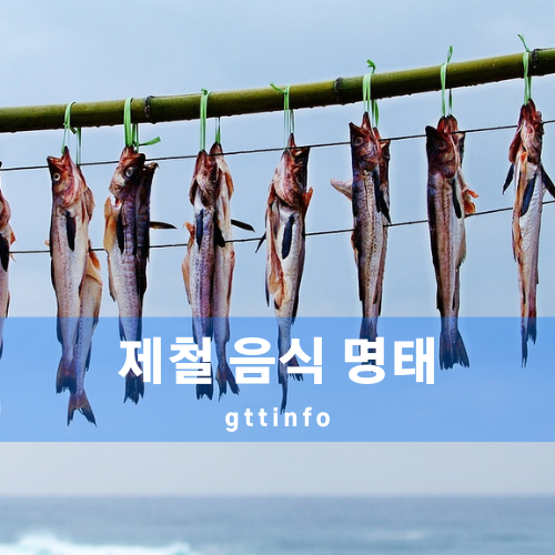 명태의 효능