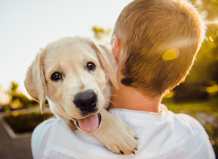 아동과 행복한 애완동물