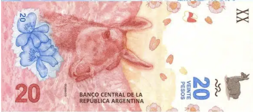 아르헨티나 환율 화폐단위 환전