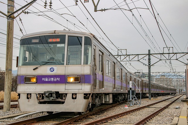 기후동행카드