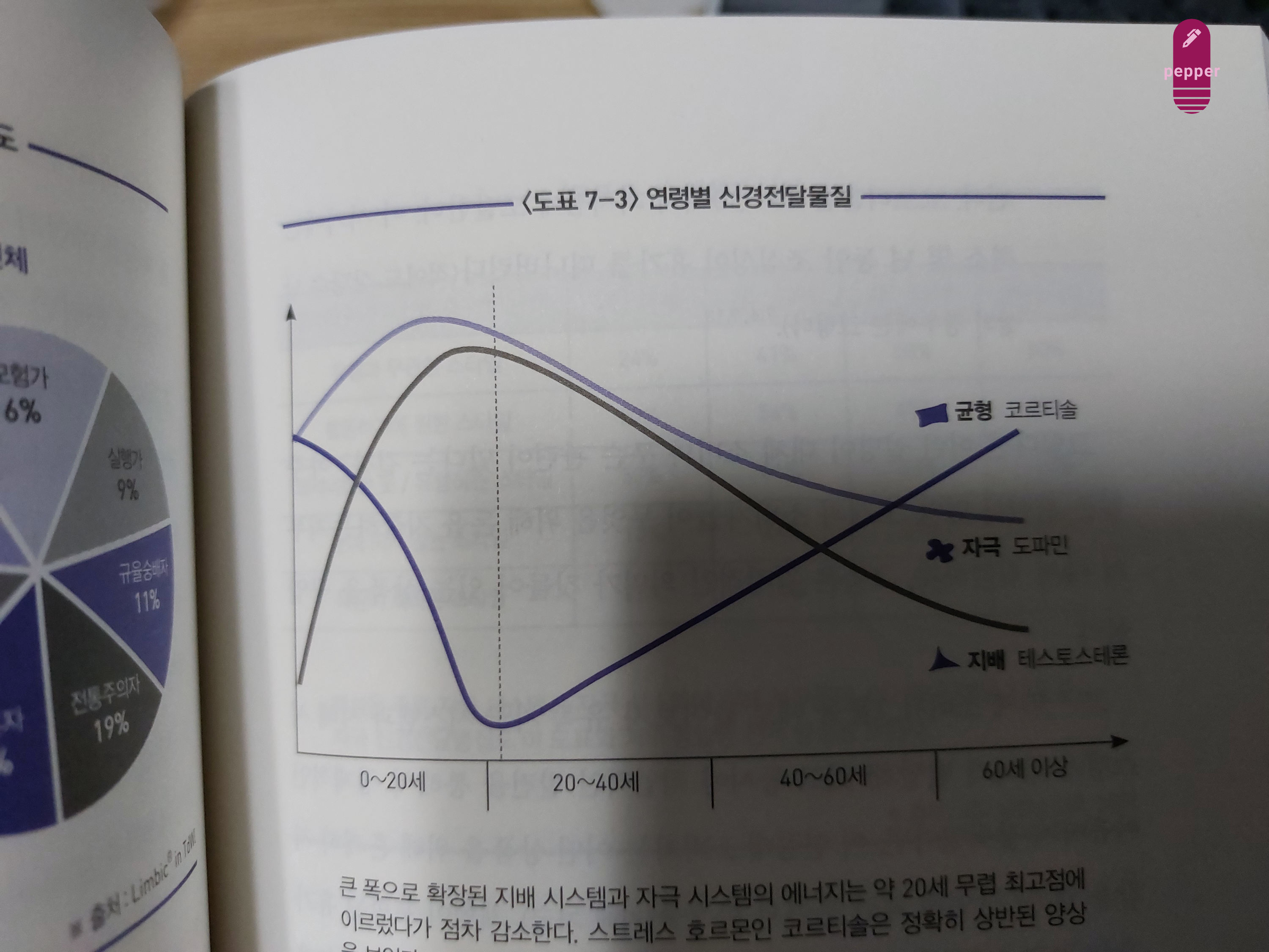 연령별 호르몬/신경 전달 물질 차이