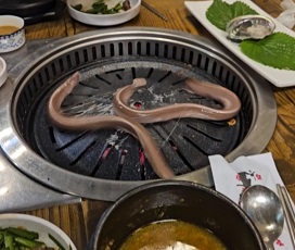 산꼼장어구이