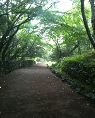 제주도 비 오는날 갈만한 곳 BEST 5곳