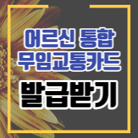 대구 어르신 통합무임교통카드 안내 포스팅 썸네일