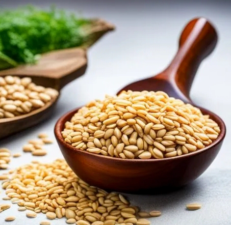 카무트효소만들기 최신 맛있게 먹는 방법 &amp;#124; 카무트효소효능 (2024ver)