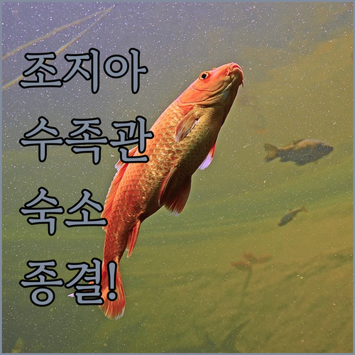조지아 수족관 근처 애틀랜타 숙소 5..