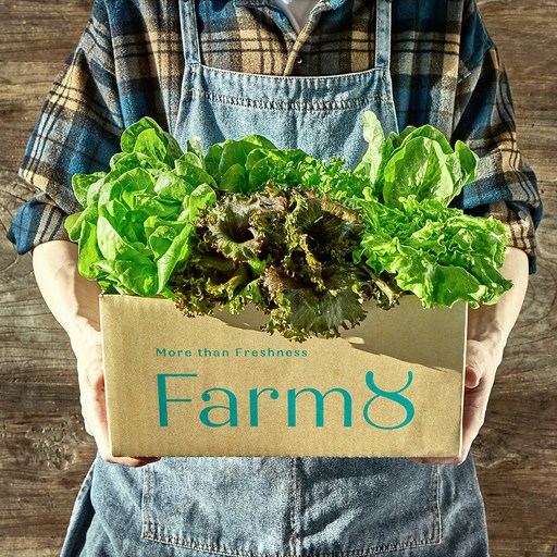 샐러드 채소 유러피안채소 1kg