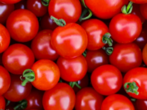 방울토마토 과다섭취 부작용