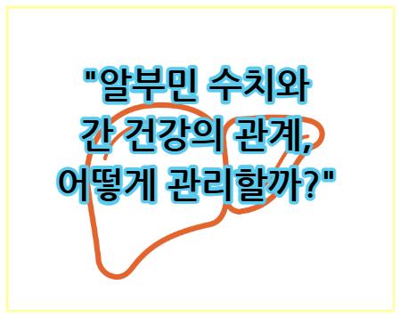 알부민 수치와 간 건강의 관계, 어떻게 관리할까?