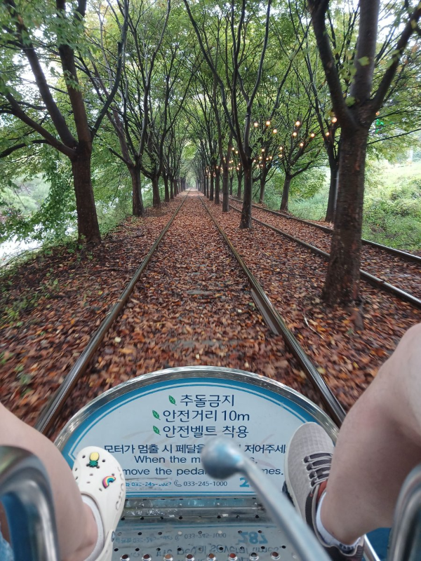 가평역 숲속 선로