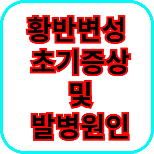 황반변성초기증상,원인