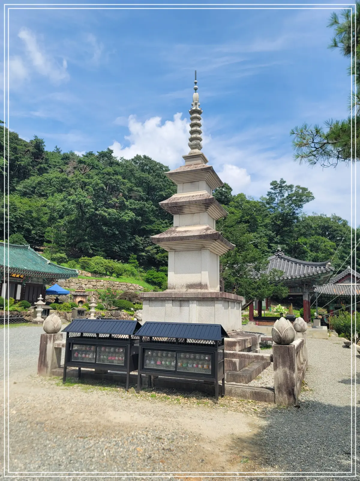 용문사-20250808_140027